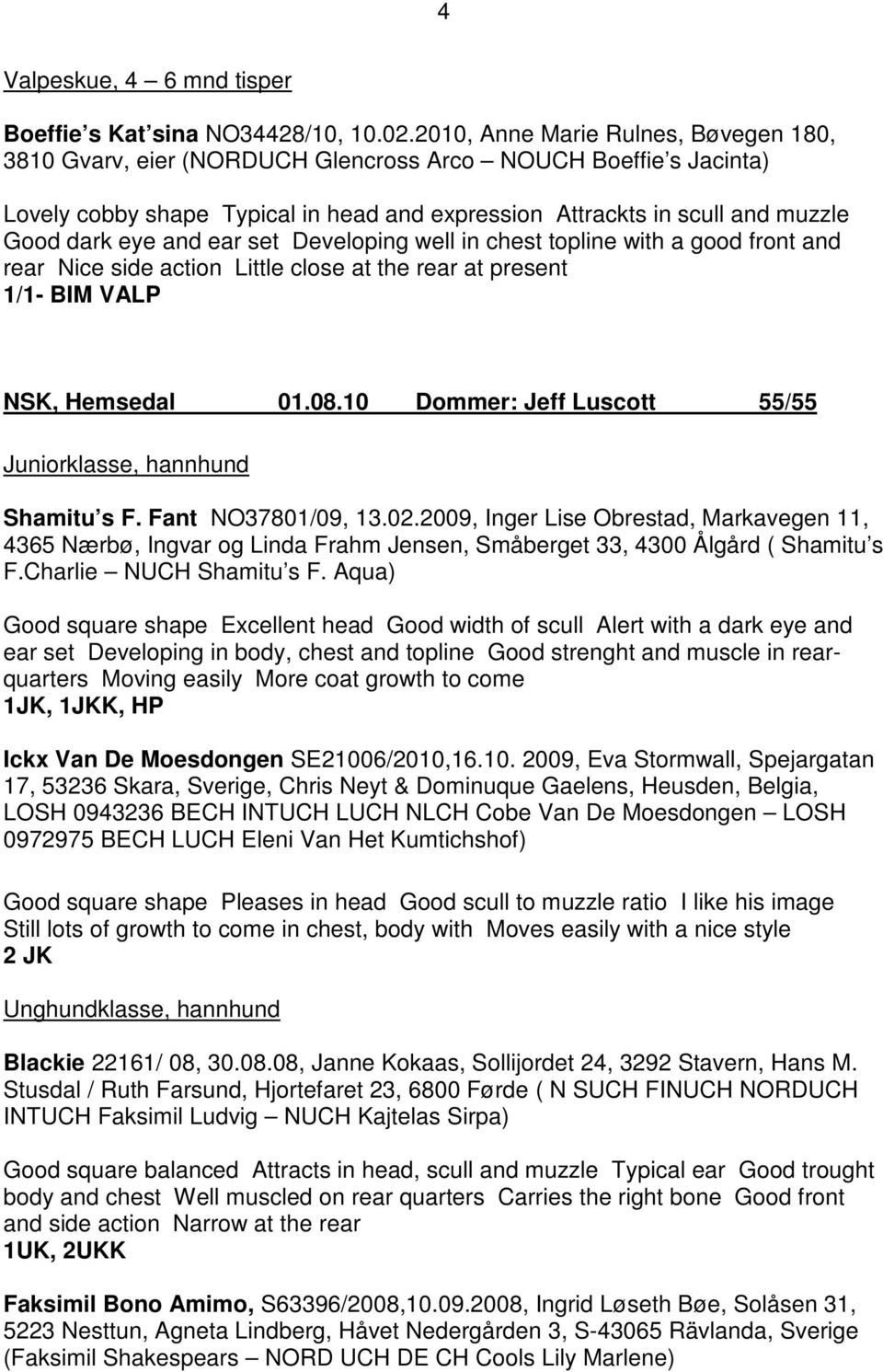 and ear set Developing well in chest topline with a good front and rear Nice side action Little close at the rear at present 1/1- BIM VALP NSK, Hemsedal 01.08.