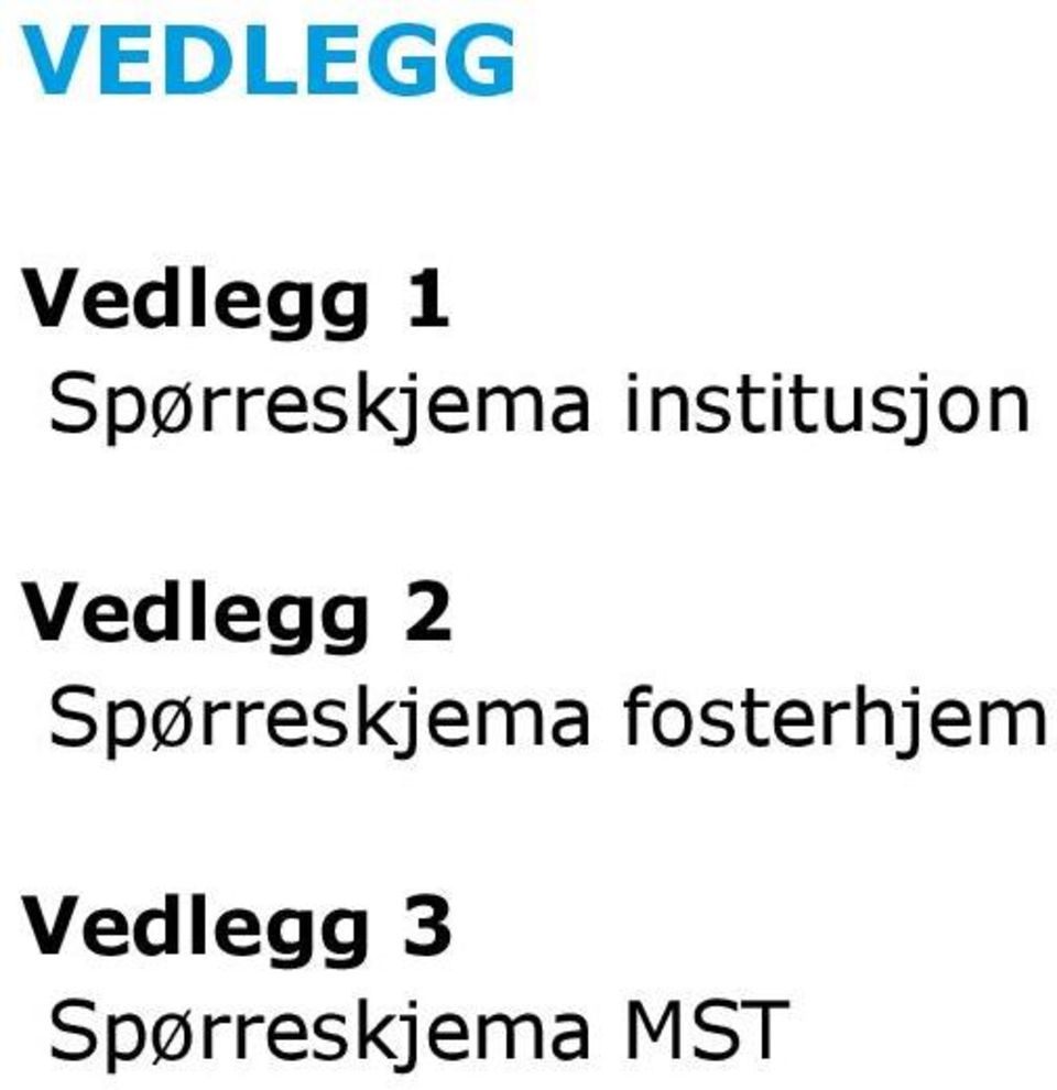 Vedlegg 2 Spørreskjema