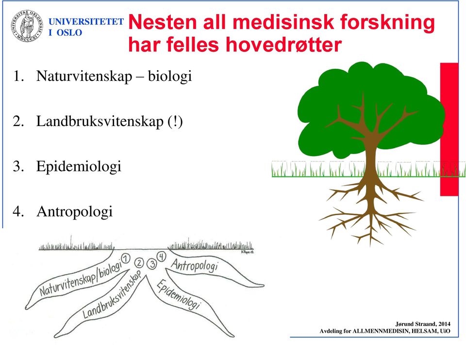 felles hovedrøtter 2.