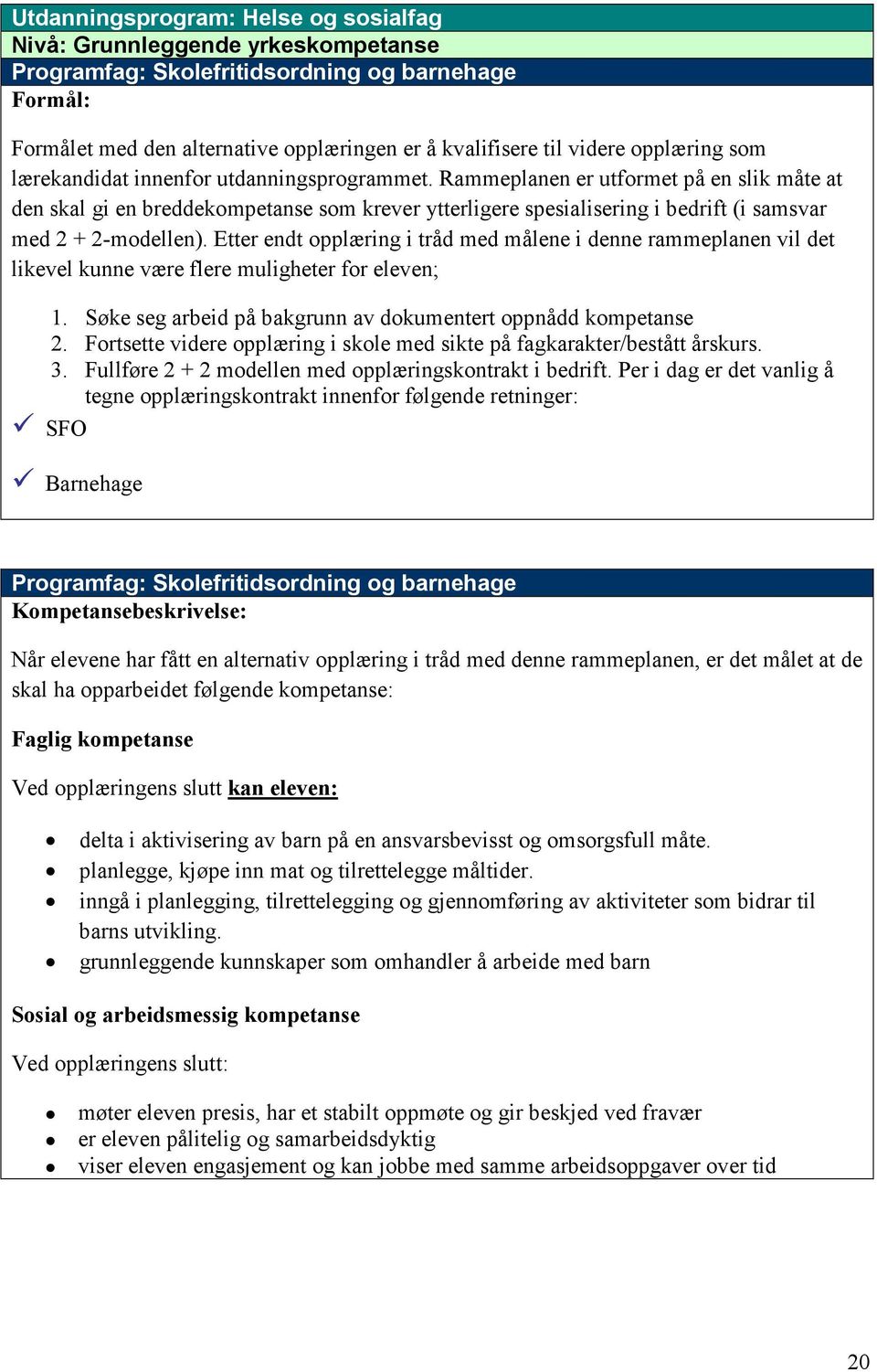 Rammeplanen er utformet på en slik måte at den skal gi en breddekompetanse som krever ytterligere spesialisering i bedrift (i samsvar med 2 + 2-modellen).