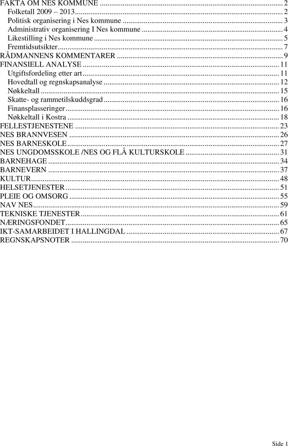 .. 16 Finansplasseringer... 16 Nøkkeltall i Kostra... 18 FELLESTJENESTENE... 23 NES BRANNVESEN... 26 NES BARNESKOLE... 27 NES UNGDOMSSKOLE /NES OG FLÅ KULTURSKOLE... 31 BARNEHAGE.