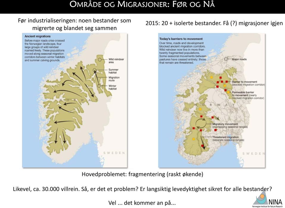 ) migrasjoner igjen Fangstgroper Hovedproblemet: fragmentering (raskt økende)