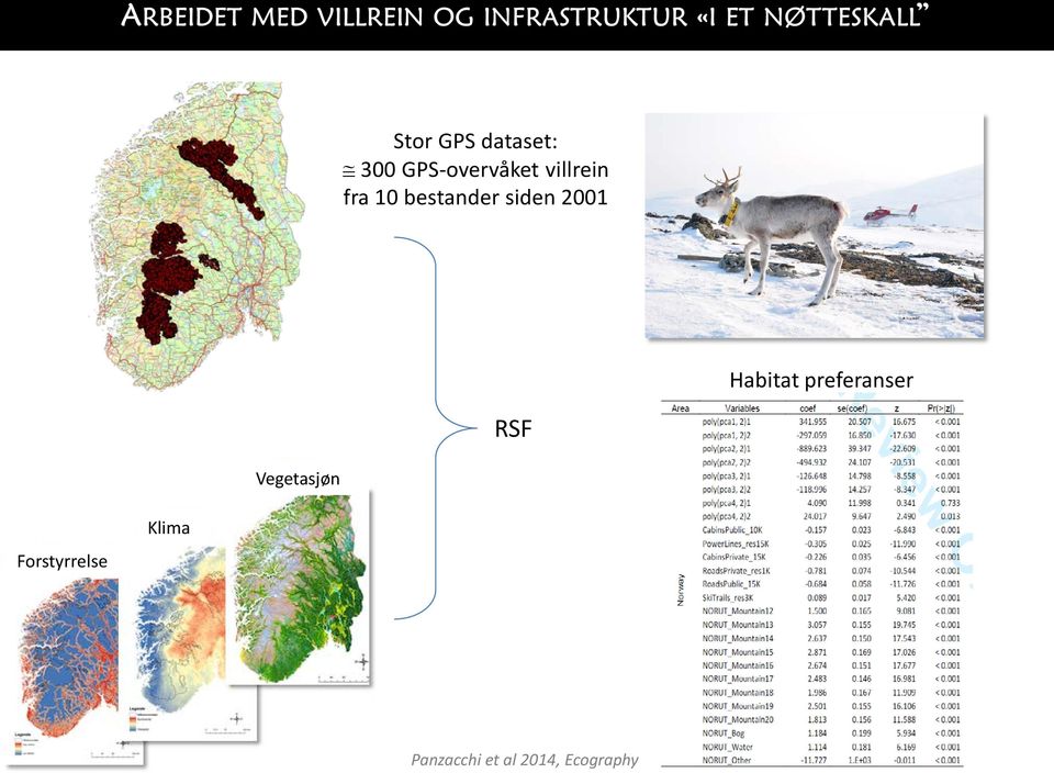 Habitat preferanser RSF Vegetasjøn