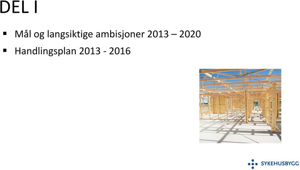 ambisjoner 2013