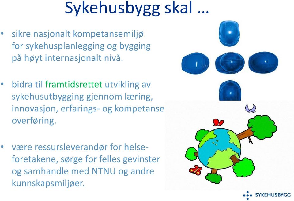 bidra til framtidsrettet utvikling av sykehusutbygging gjennom læring, innovasjon,