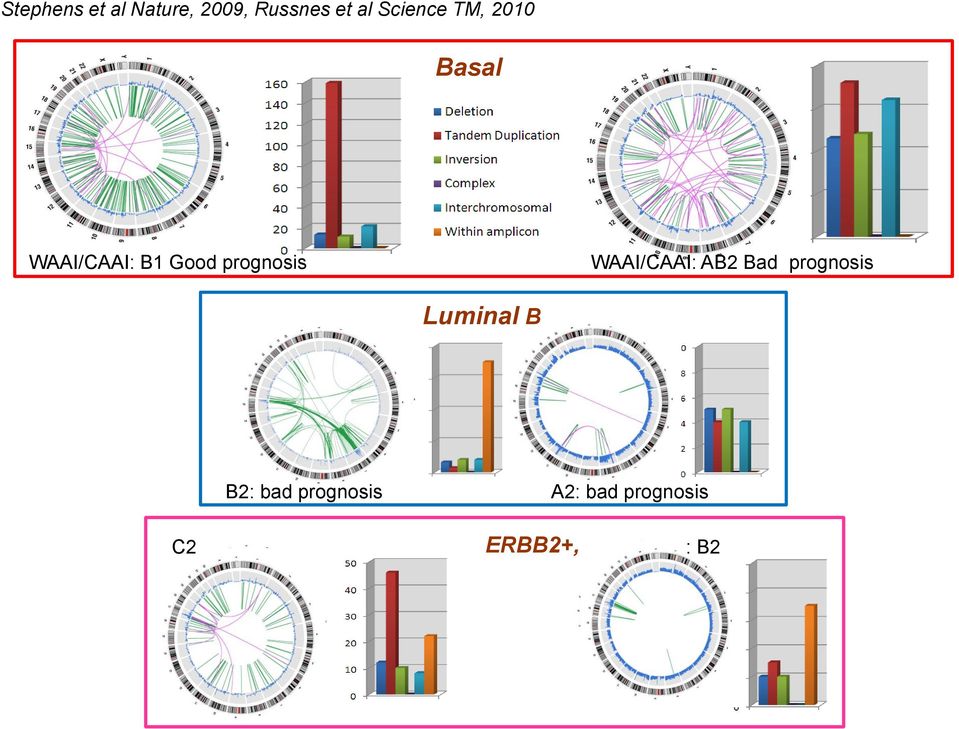 prognosis WAAI/CAAI: AB2 Bad prognosis Luminal