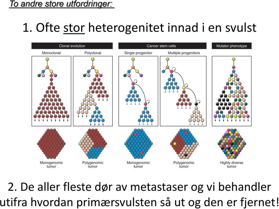 De aller fleste dør av metastaser og vi