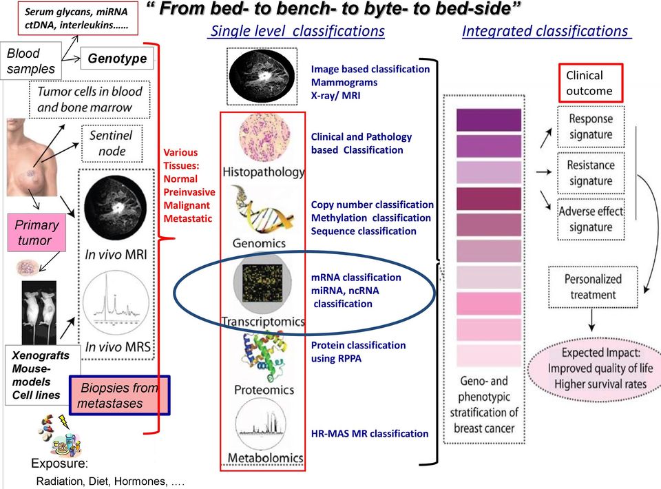 Clinical and Pathology based Classification Copy number classification Methylation classification Sequence classification mrna classification mirna, ncrna