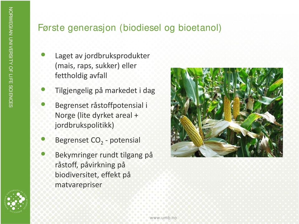 råstoffpotensial i Norge (lite dyrket areal + jordbrukspolitikk) Begrenset CO 2