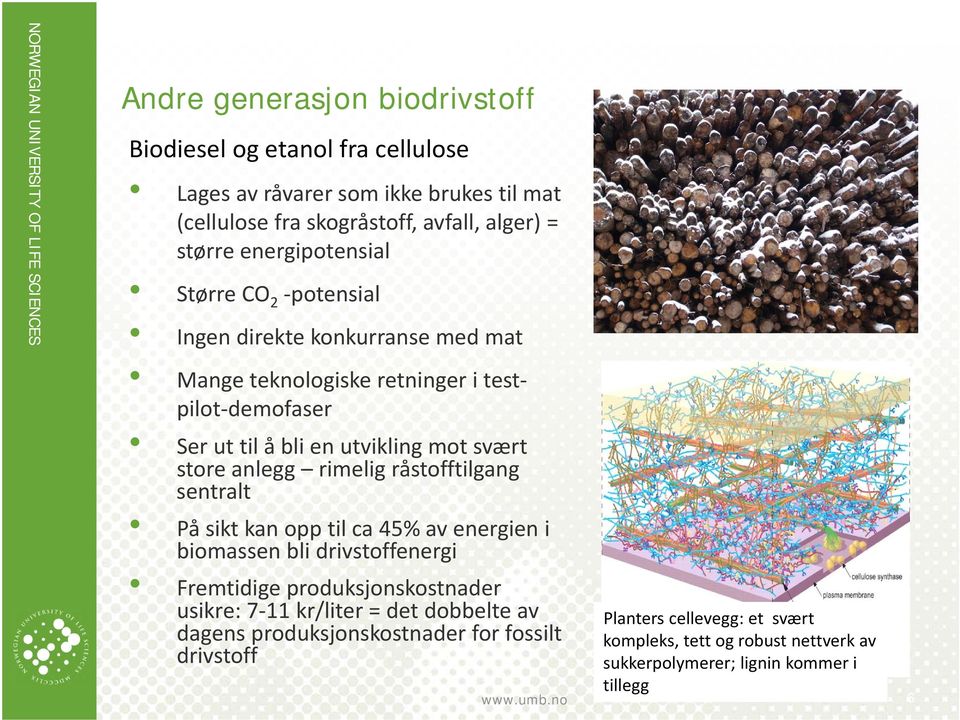 store anlegg rimelig råstofftilgang sentralt På sikt kan opp til ca 45% av energien i biomassen bli drivstoffenergi Fremtidige produksjonskostnader usikre: 7 11