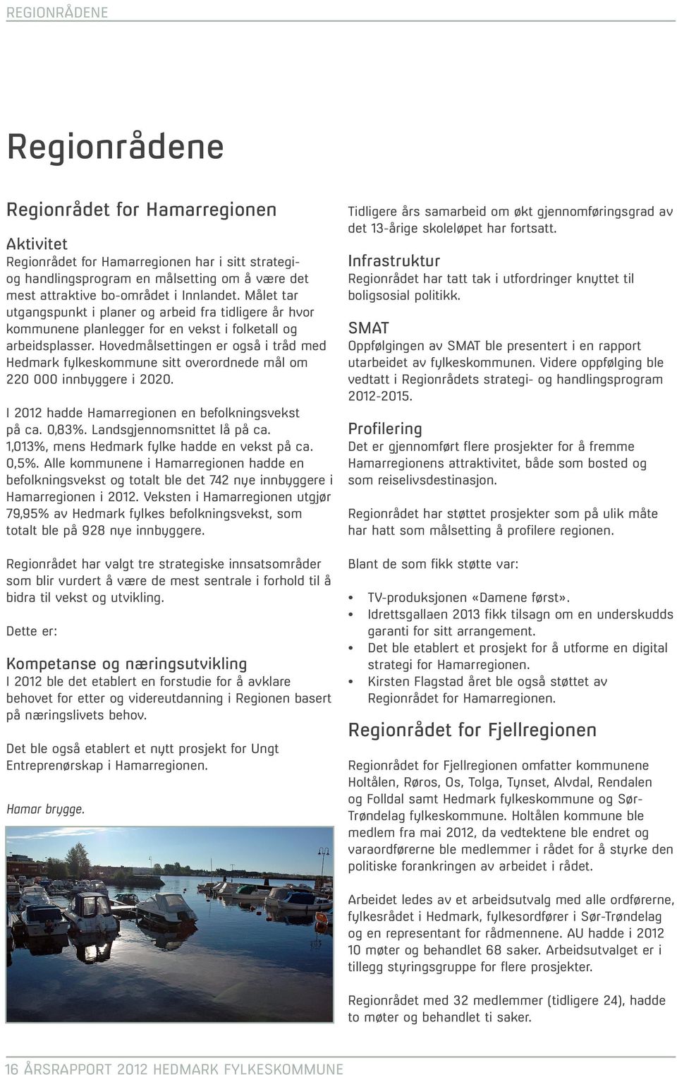 Hovedmålsettingen er også i tråd med Hedmark fylkeskommune sitt overordnede mål om 220 000 innbyggere i 2020. I 2012 hadde Hamarregionen en befolkningsvekst på ca. 0,83%. Landsgjennomsnittet lå på ca.