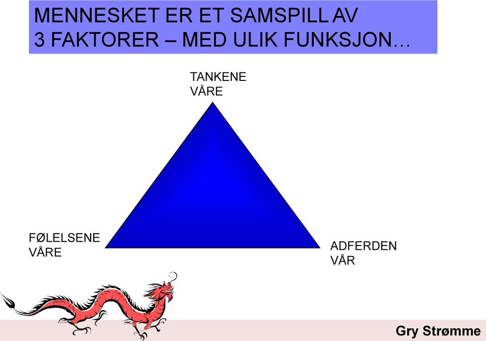 FUNKSJON TANKENE VÅRE