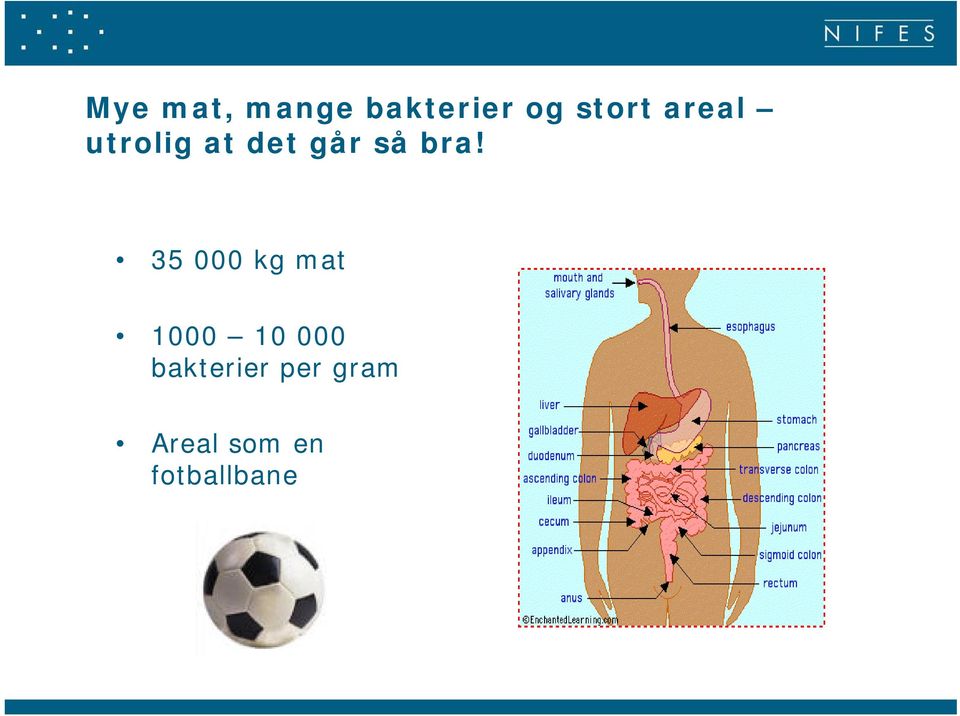 35 000 kg mat 1000 10 000