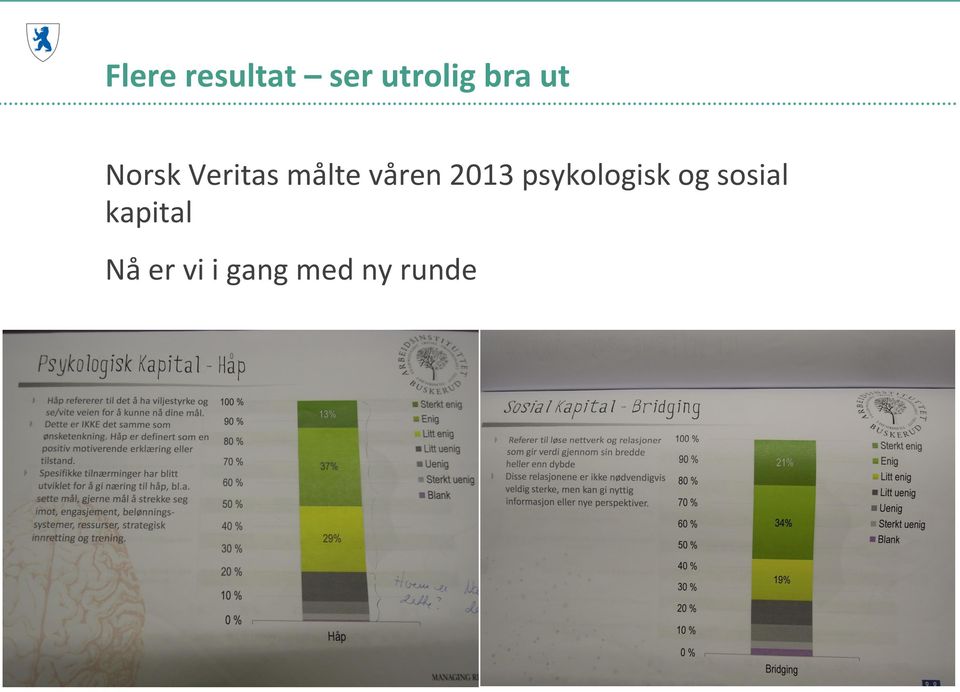 2013 psykologisk og sosial