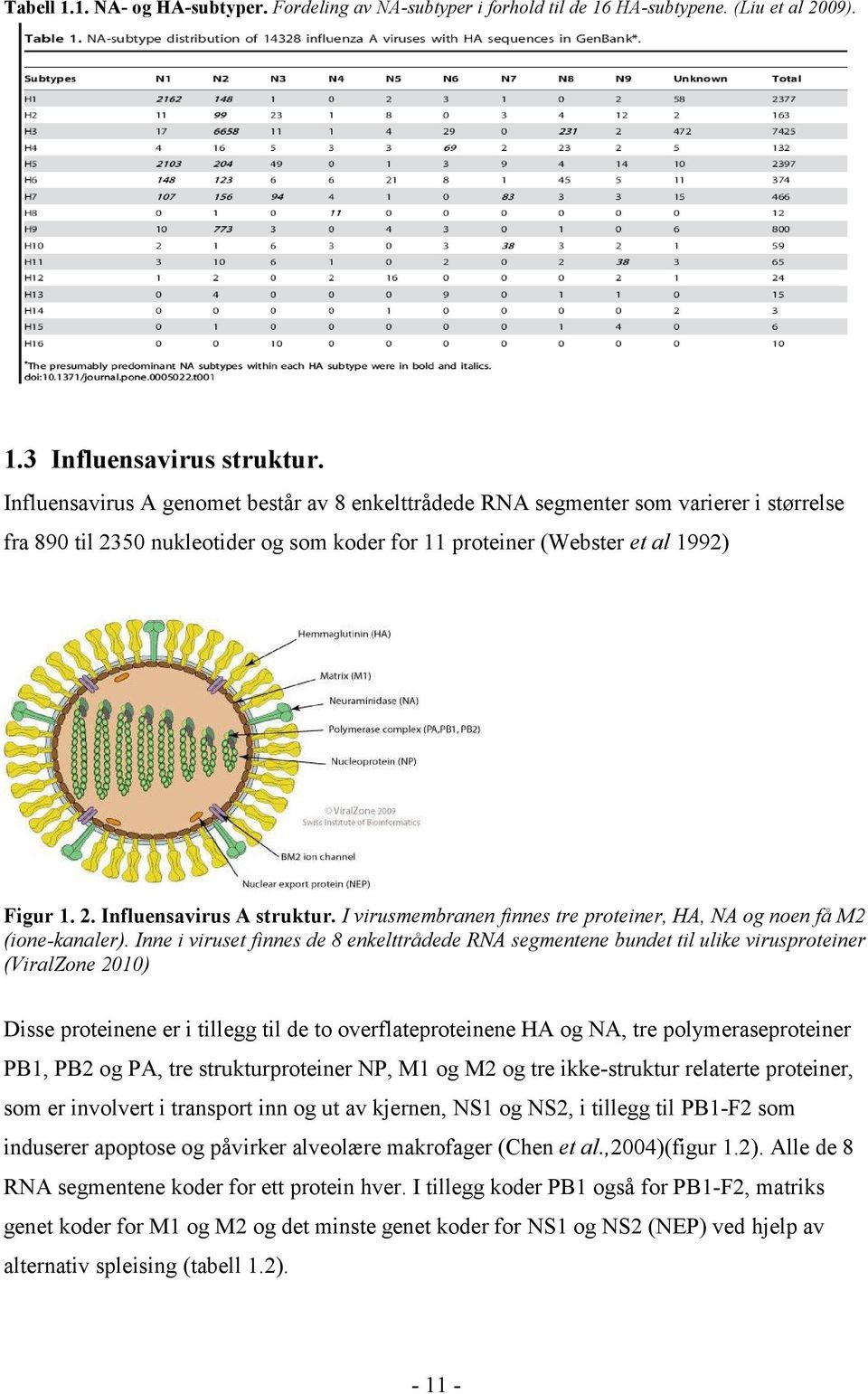 I virusmembranen finnes tre proteiner, HA, NA og noen få M2 (ione-kanaler).