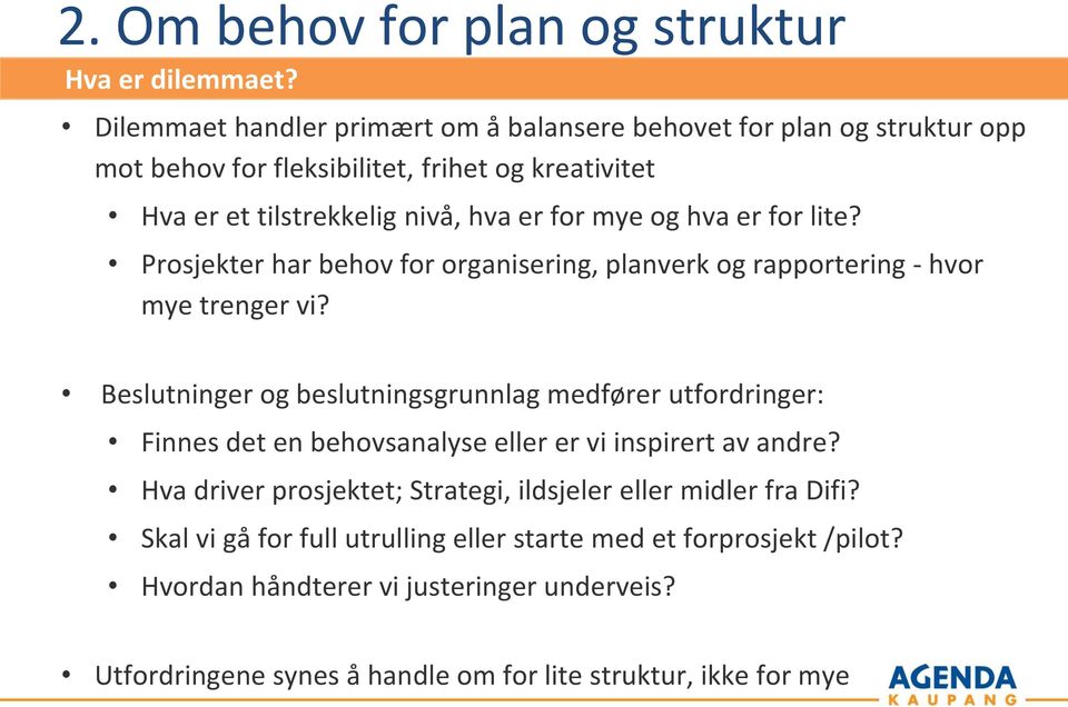 hva er for lite? Prosjekter har behov for organisering, planverk og rapportering - hvor mye trenger vi?