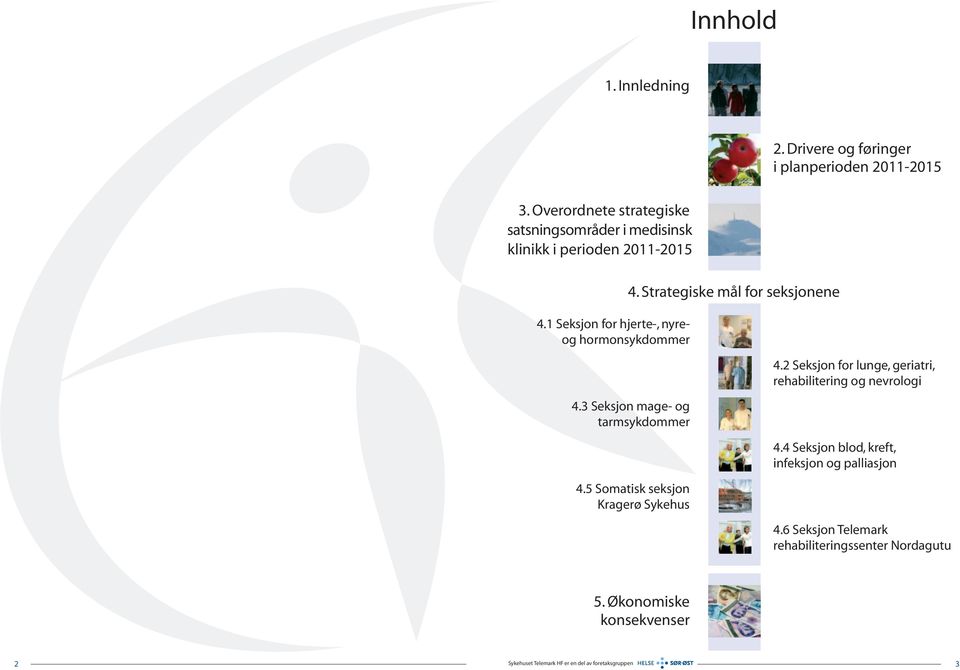 1 Seksjon for hjerte-, nyreog hormonsykdommer 4. Strategiske mål for seksjonene 4.3 Seksjon mage- og tarmsykdommer 4.