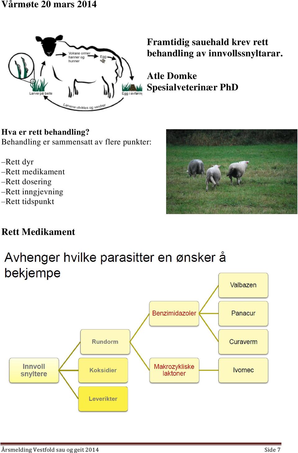 Behandling er sammensatt av flere punkter: Rett dyr Rett medikament Rett