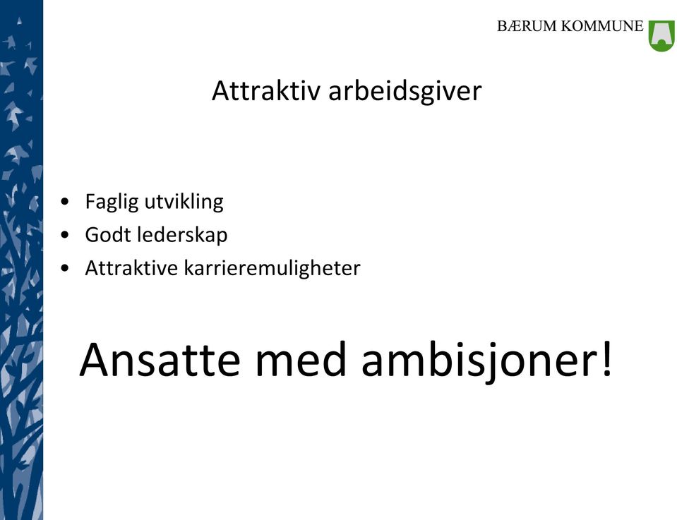 lederskap Attraktive