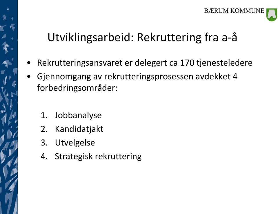 Gjennomgang av rekrutteringsprosessen avdekket 4