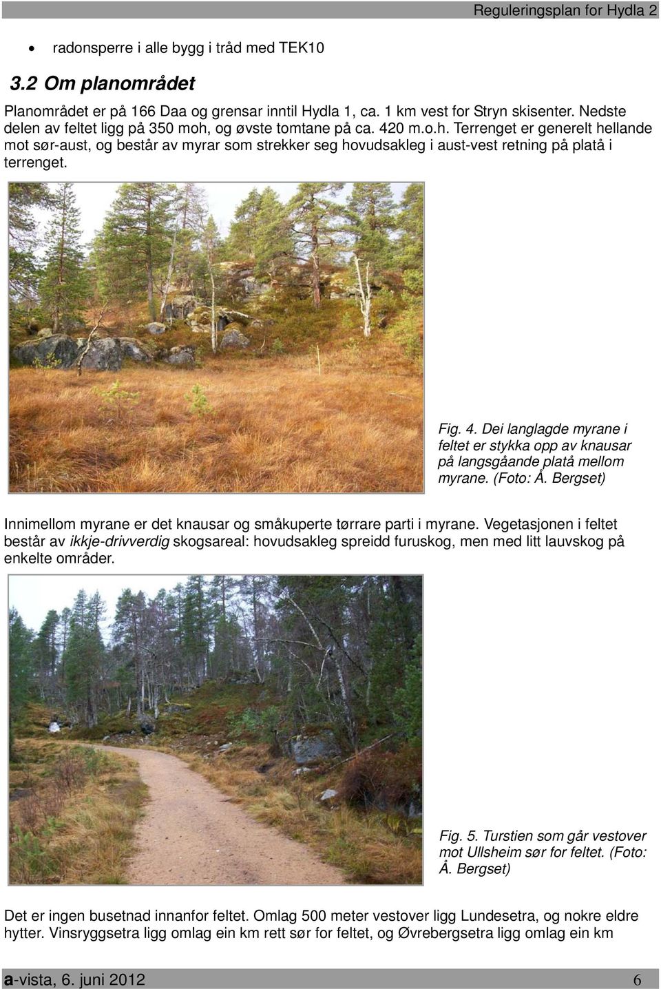 Fig. 4. Dei langlagde myrane i feltet er stykka opp av knausar på langsgåande platå mellom myrane. (Foto: Å. Bergset) Innimellom myrane er det knausar og småkuperte tørrare parti i myrane.