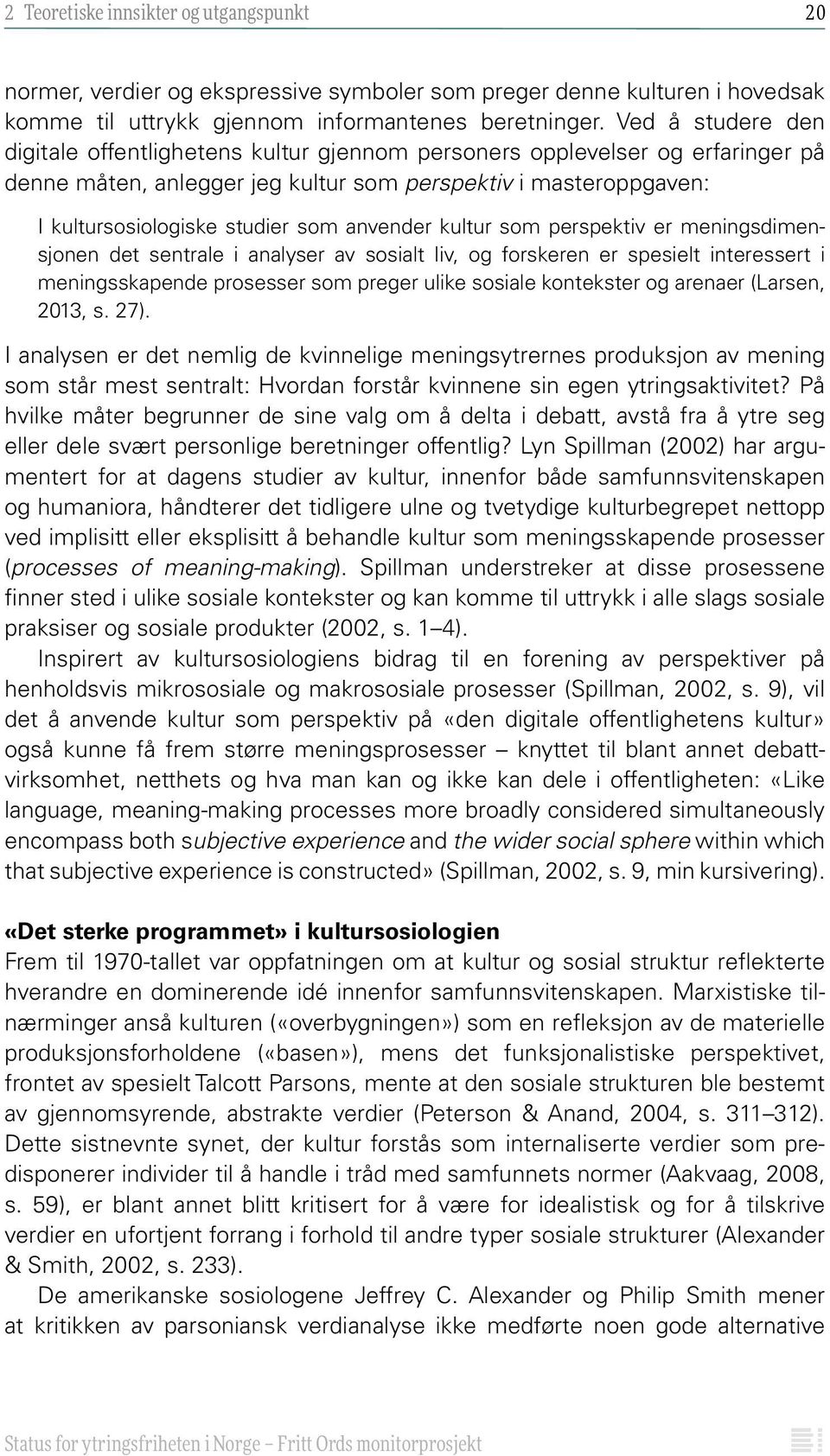 anvender kultur som perspektiv er meningsdimensjonen det sentrale i analyser av sosialt liv, og forskeren er spesielt interessert i meningsskapende prosesser som preger ulike sosiale kontekster og