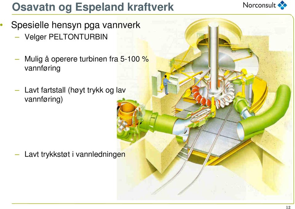 turbinen fra 5-100 % vannføring Lavt fartstall