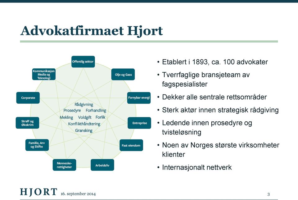 sentrale rettsområder Sterk aktør innen strategisk rådgiving Ledende innen