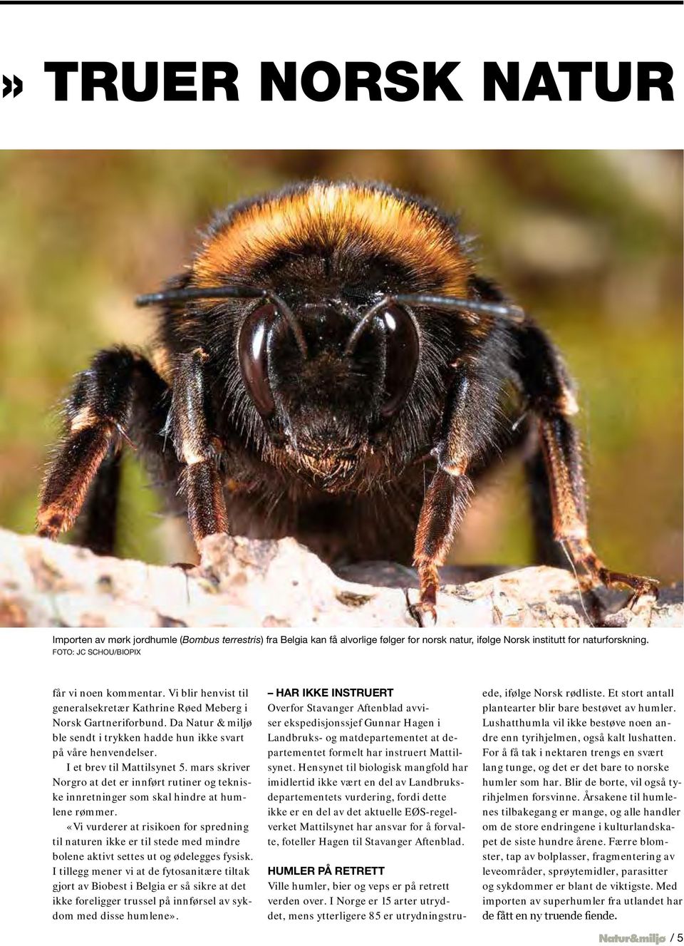 Da Natur & miljø ble sendt i trykken hadde hun ikke svart på våre henvendelser. I et brev til Mattilsynet 5.