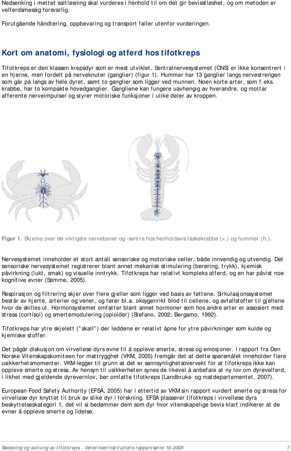 Sentralnervesystemet (CNS) er ikke konsentrert i en hjerne, men fordelt på nerveknuter (ganglier) (figur 1).