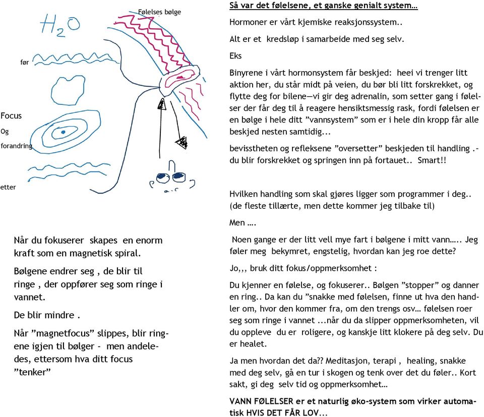 adrenalin, som setter gang i følelser der får deg til å reagere hensiktsmessig rask, fordi følelsen er en bølge i hele ditt vannsystem som er i hele din kropp får alle beskjed nesten samtidig.