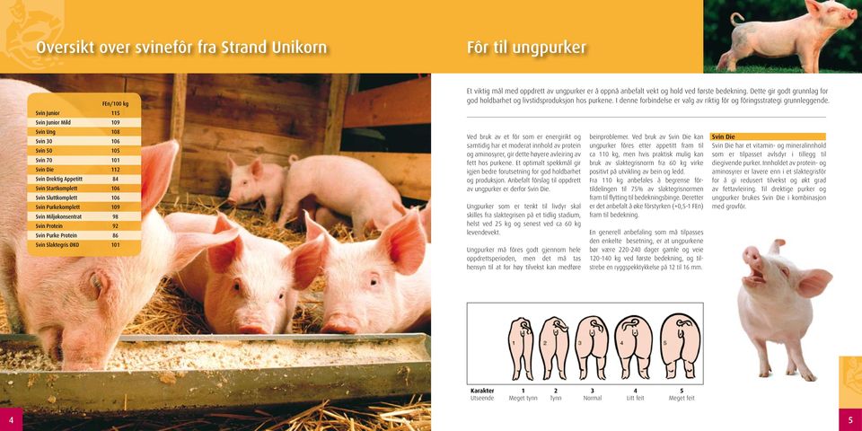 oppnå anbefalt vekt og hold ved første bedekning. Dette gir godt grunnlag for god holdbarhet og livstidsproduksjon hos purkene.