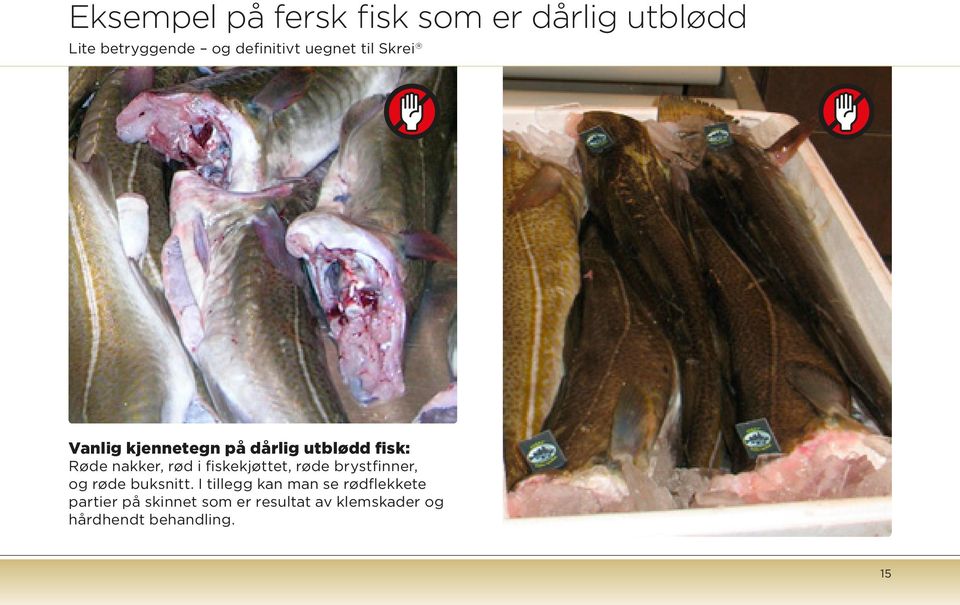 fiskekjøttet, røde brystfinner, og røde buksnitt.