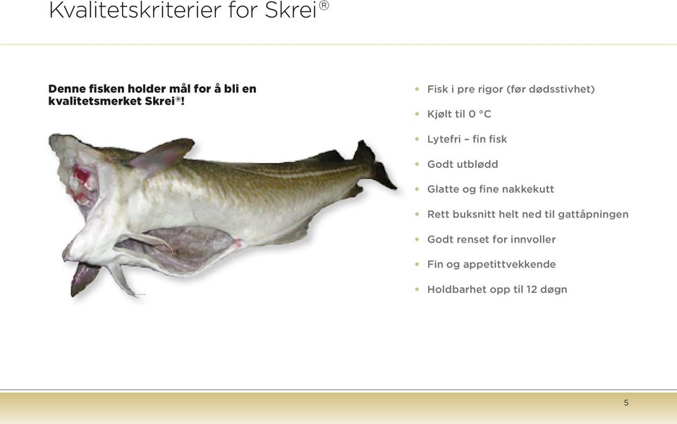 Fisk i pre rigor (før dødsstivhet) Kjølt til 0 C Lytefri fin fisk Godt