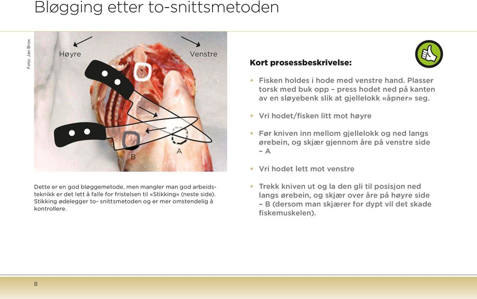 Vri hodet/fisken litt mot høyre B A Før kniven inn mellom gjellelokk og ned langs ørebein, og skjær gjennom åre på venstre side A Vri hodet lett mot venstre Dette er en god