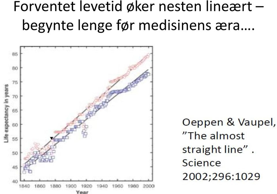 lineært begynte