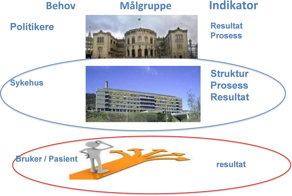 Sykehus Struktur Prosess