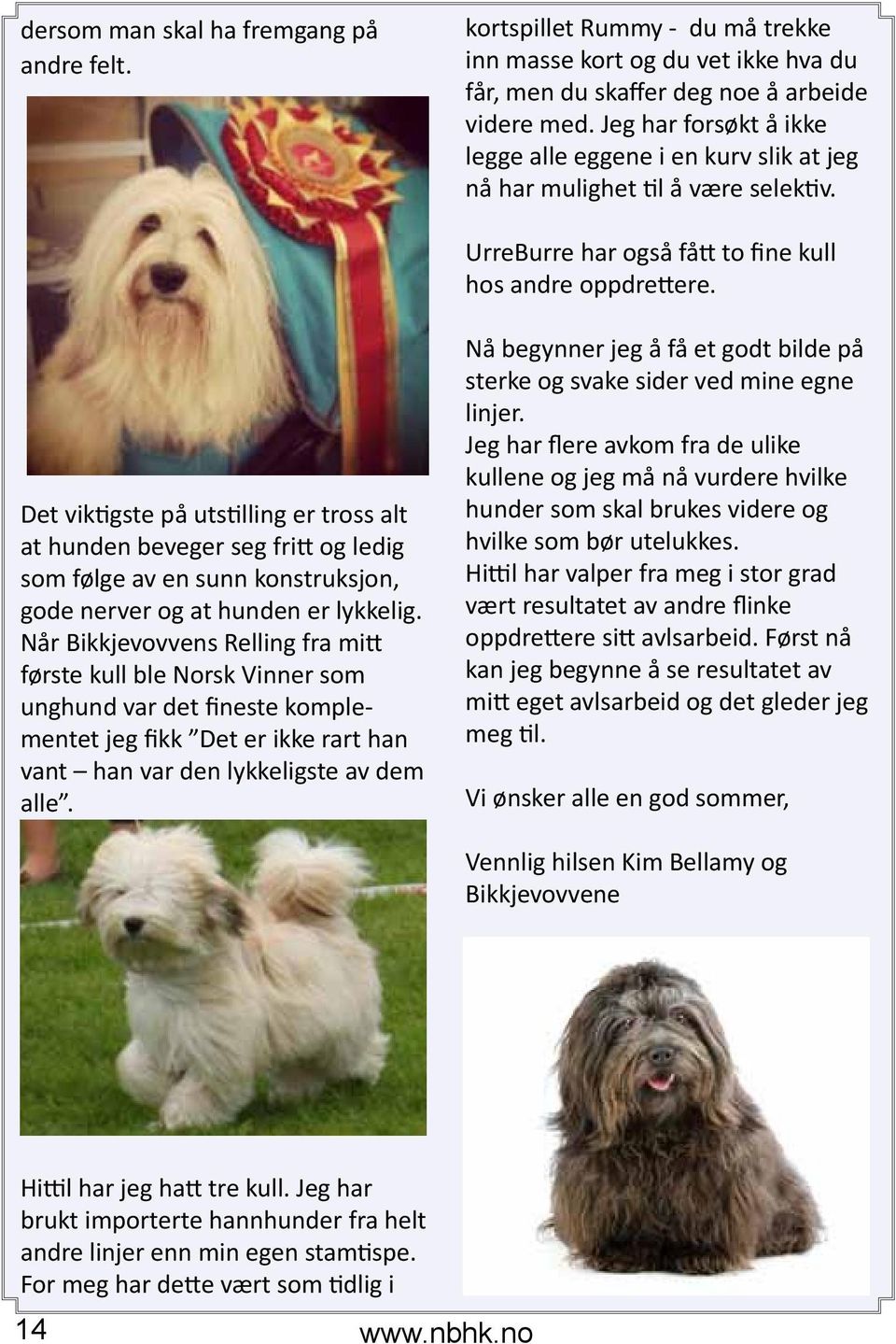 Det viktigste på utstilling er tross alt at hunden beveger seg fritt og ledig som følge av en sunn konstruksjon, gode nerver og at hunden er lykkelig.