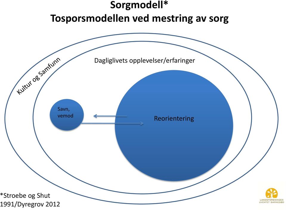 opplevelser/erfaringer Savn, vemod