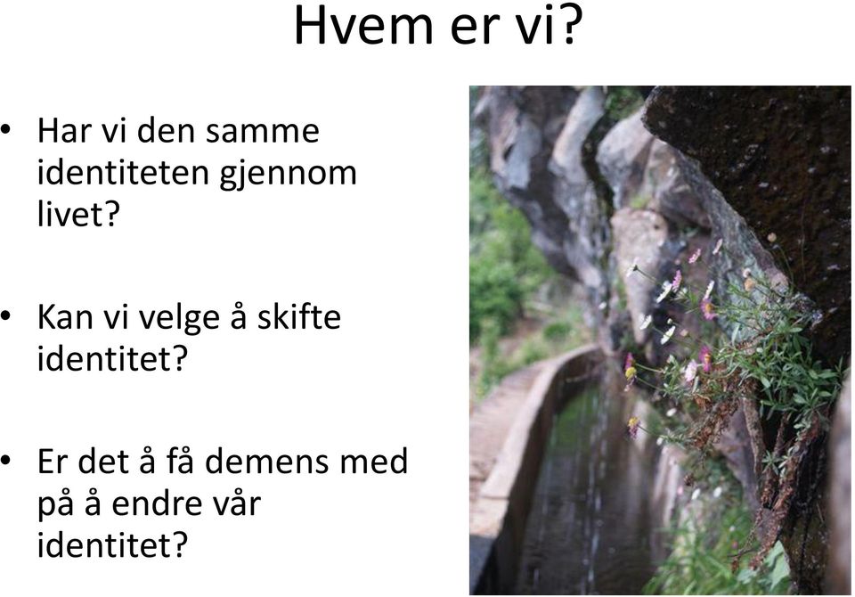 gjennom livet?