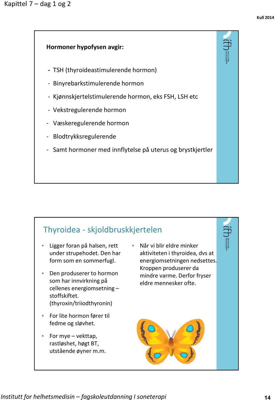 Den produserer to hormon som har innvirkning på cellenes energiomsetning stoffskiftet. (thyroxin/triiodthyronin) Når vi blir eldre minker aktiviteten i thyroidea, dvs at energiomsetningen nedsettes.