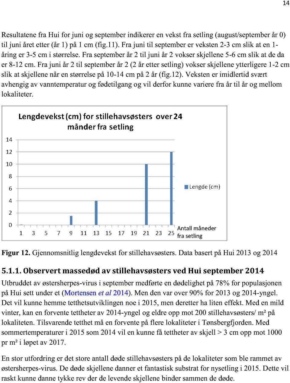 Frajuni år 2 til septemberår 2 (2 år ettersetling)vokserskjelleneytterligere1-2 cm slik at skjellenenårenstørrelsepå10-14 cm på2 år (fig.12).