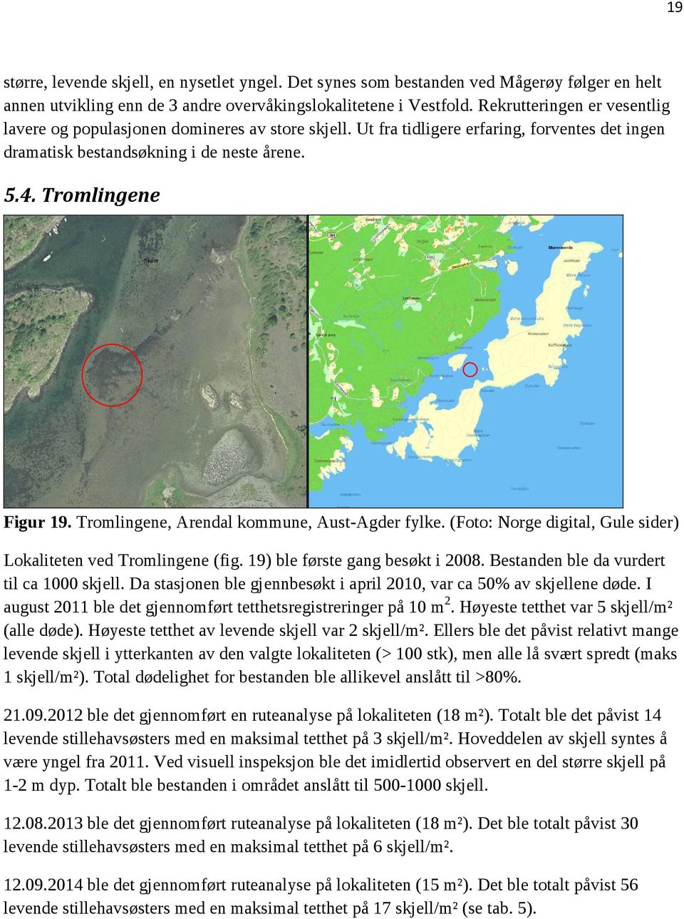 Tromlingene, Arendal kommune, Aust-Agder fylke. (Foto: Norge digital, Gule sider) Lokaliteten ved Tromlingene (fig. 19) ble første gang besøkt i 2008. Bestanden ble da vurdert til ca 1000 skjell.