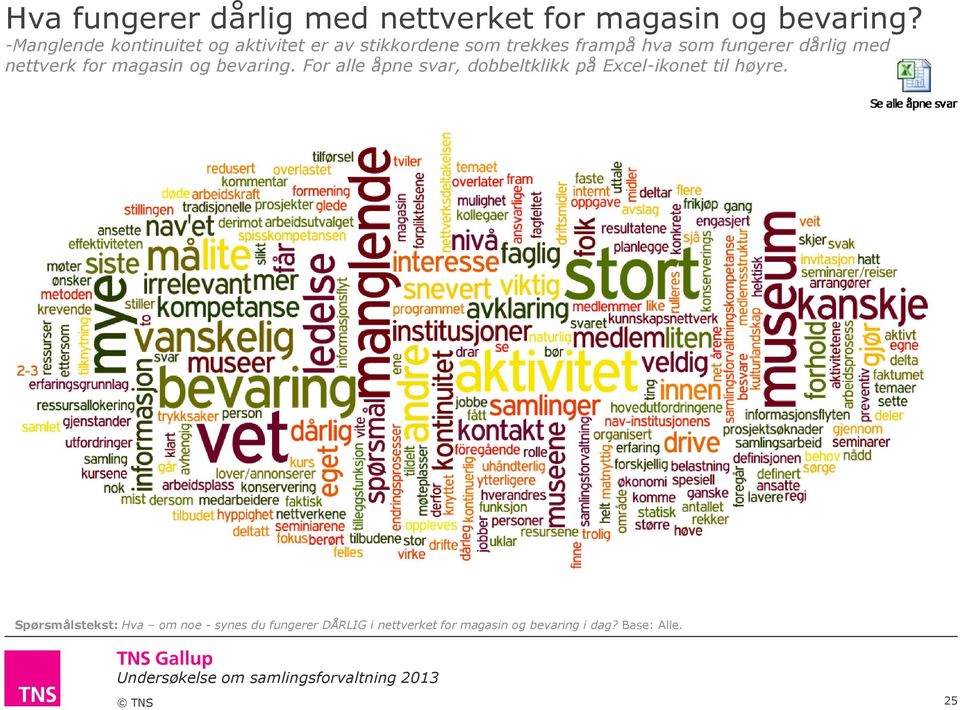 med nettverk for magasin og bevaring. For alle åpne svar, dobbeltklikk på Excel-ikonet til høyre.