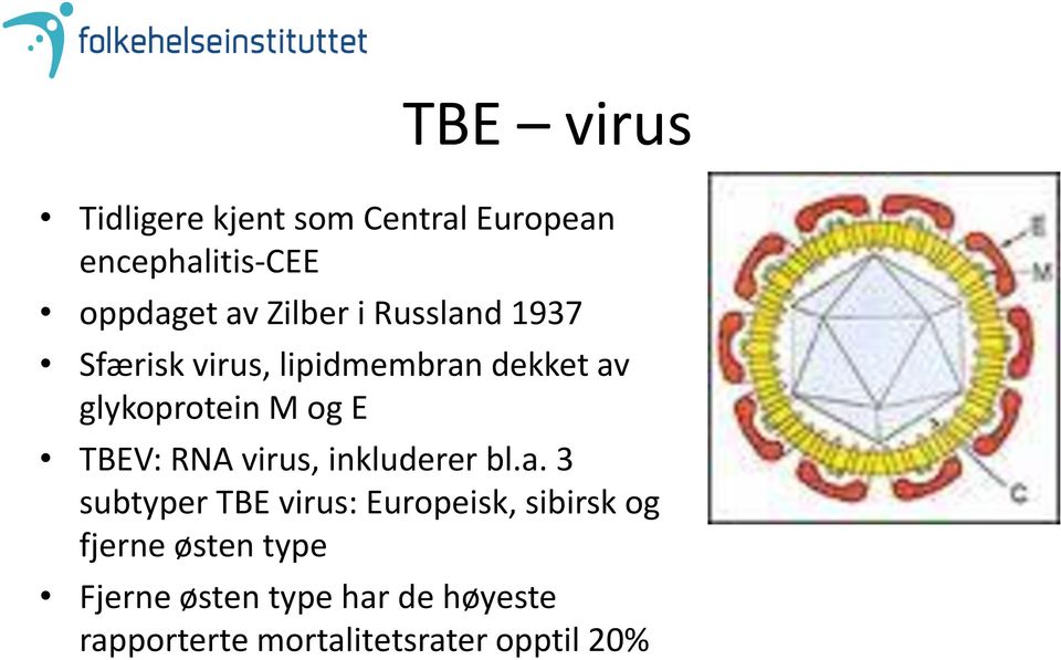 TBEV: RNA virus, inkluderer bl.a.