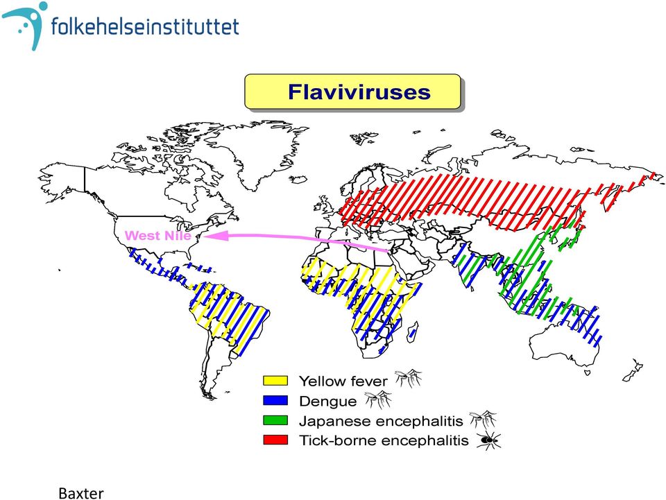 Japanese encephalitis