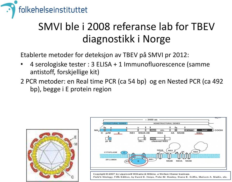 ELISA + 1 Immunofluorescence (samme antistoff, forskjellige kit) 2 PCR