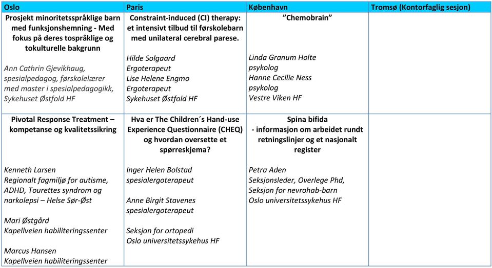 tokulturelle bakgrunn Ann Cathrin Gjevikhaug, spesialpedagog, førskolelærer med master i spesialpedagogikk, Sykehuset Østfold HF Hilde Solgaard Ergoterapeut Lise Helene Engmo Ergoterapeut Sykehuset