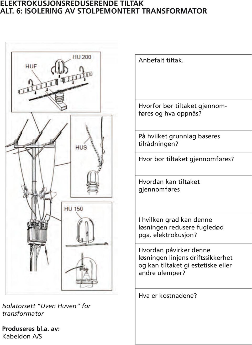 Hvordan kan tiltaket gjennomføres I hvilken grad kan denne løsningen redusere fugledød pga. elektrokusjon?