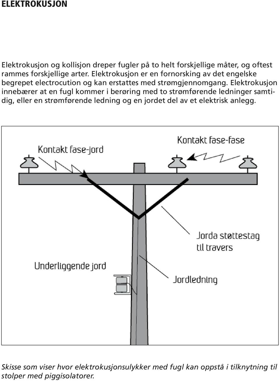 Elektrokusjon innebærer at en fugl kommer i berøring med to strømførende ledninger samtidig, eller en strømførende ledning og